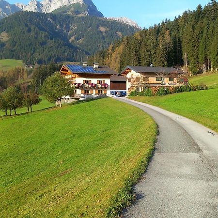 Frische Bergluft Und Laendlicher Charme - Ihr Aktiver Urlaub Am Muehlauhof Muhlbach Am Hochkonig Exterior photo
