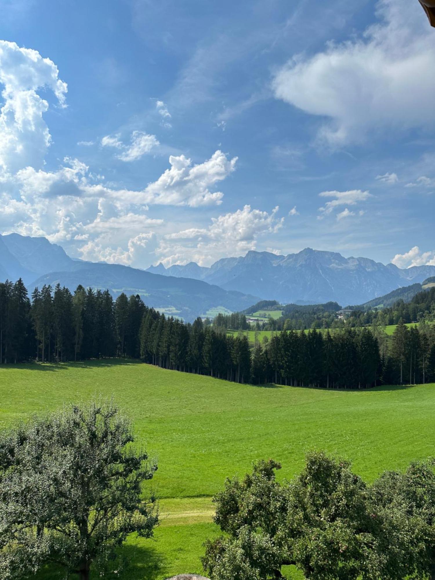 Frische Bergluft Und Laendlicher Charme - Ihr Aktiver Urlaub Am Muehlauhof Muhlbach Am Hochkonig Exterior photo