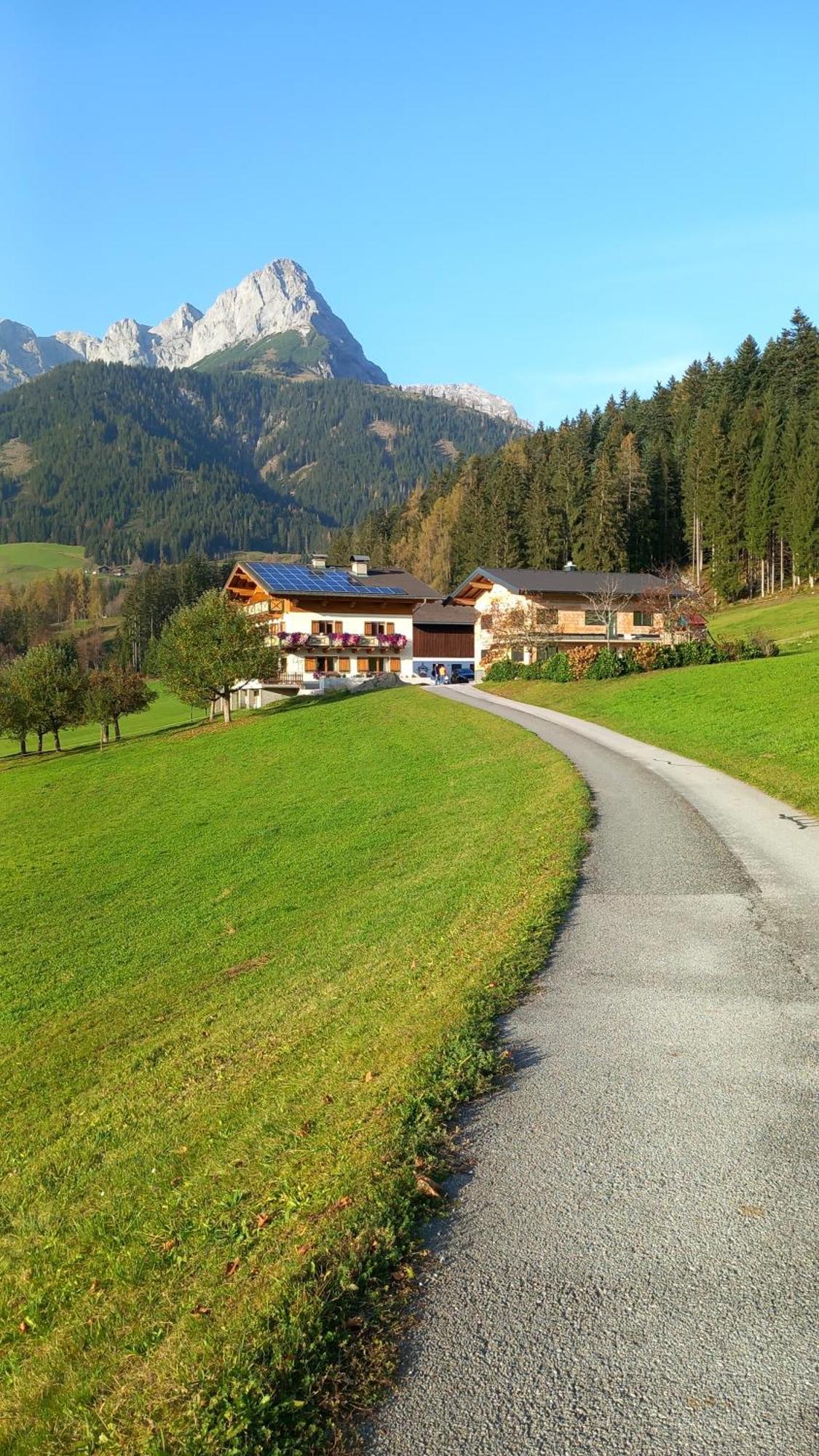 Frische Bergluft Und Laendlicher Charme - Ihr Aktiver Urlaub Am Muehlauhof Muhlbach Am Hochkonig Exterior photo
